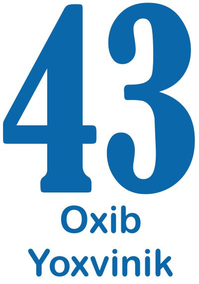 Número 43